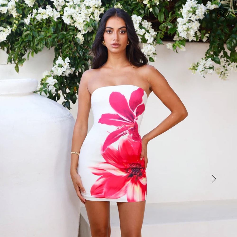 Runaway the Label Primrose Mini Dress